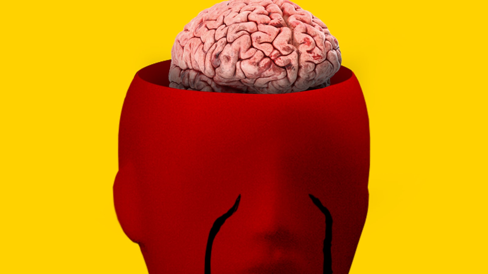 Le rôle des⁢ différentes parties‌ du cerveau dans la régulation des⁤ émotions